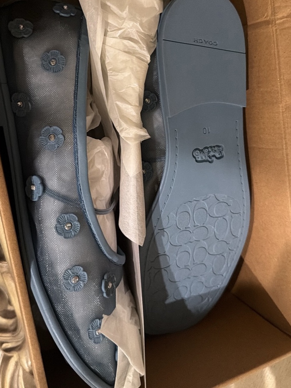Coach Light Blue Floral Ballet Flat